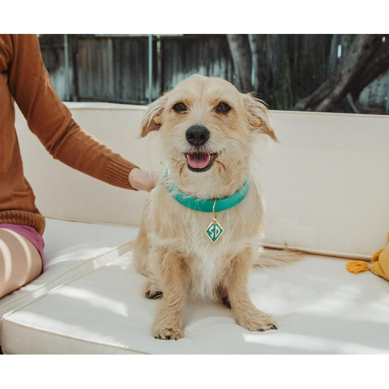 Scooby Doo Blue Dog Collar Necklace Replica, Adjustable Choker