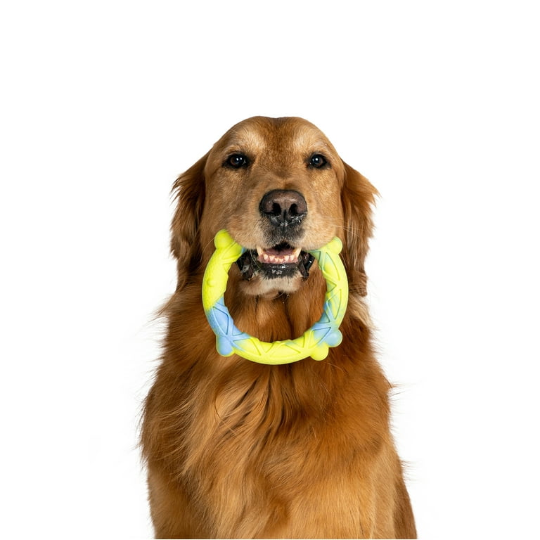 silicone lube for sex toys 17 dog behaviours and their meanings main image 1