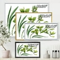 thumbnail image 5 of Green Orchid Flowers On White 20 in x 12 in Framed Painting Canvas Art Print, by Designart, 5 of 5