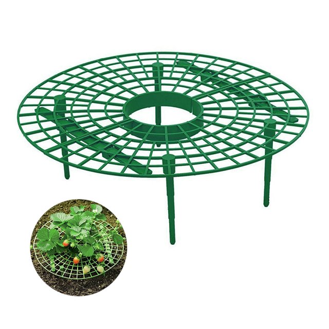 Soporte para cultivo de fresas, práctico estante para fresas, soporte para vid trepadora de plantas