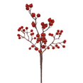 thumbnail image 1 of Vickerman P101202-6 Pic de Baies Mélangées Rouge Extérieur 13 Po. - 6 par Sac, 1 of 1