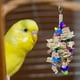 thumbnail image 3 of Juguete interactivo de masticación para pájaros Perfecl Cacatúas de gallo Mediano Grande Jaula ligera, 3 of 8