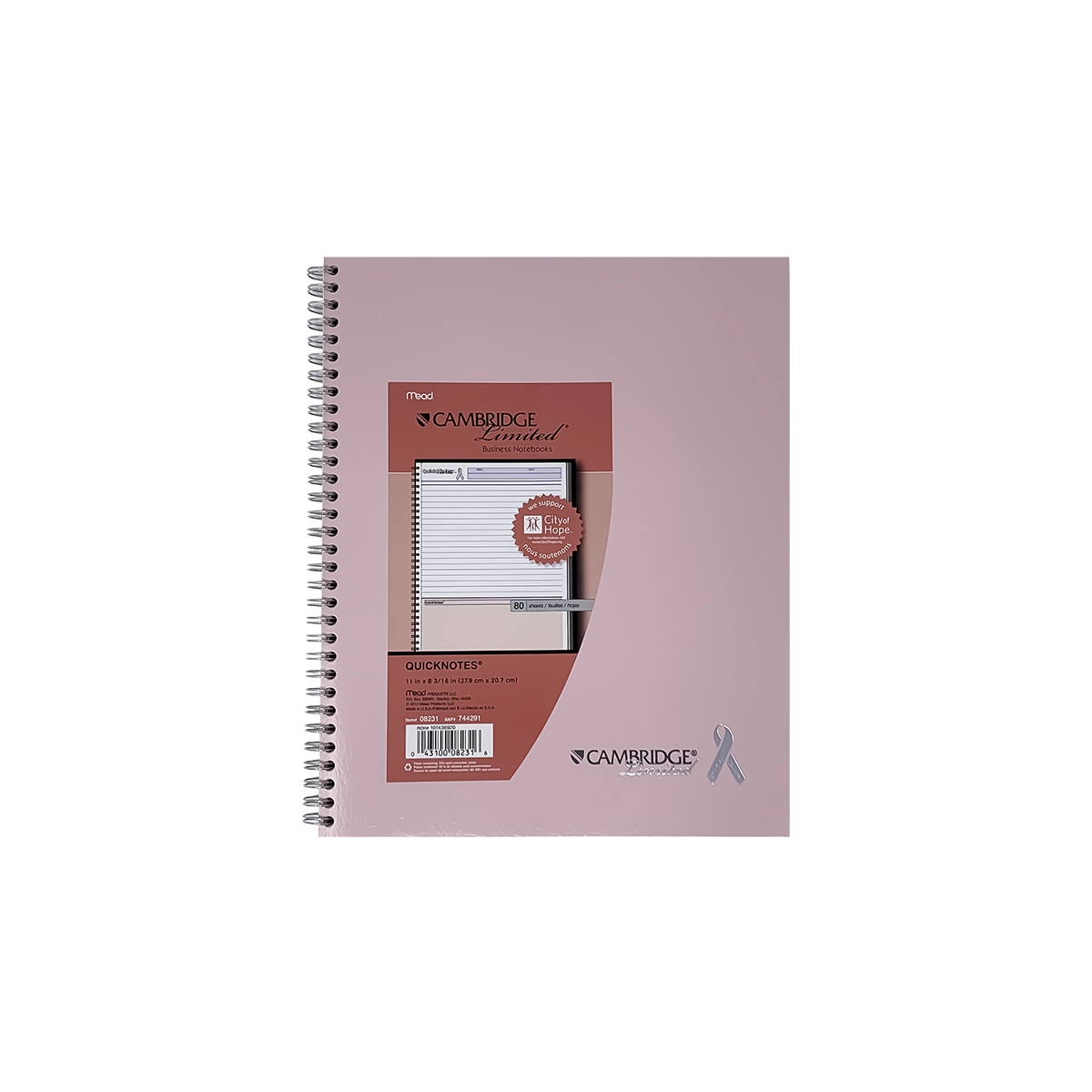 Cambridge Limited QuickNotes Business Notebook, 11" x 83/16", 80