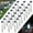 Cold White, variant on Qishi Solar Garden Lights Outdoor 12 pack, LED Solar Powered Pathway Lights, Stainless Steel Landscape Lighting for Lawn, Patio, Yard, Walkway, Driveway Color