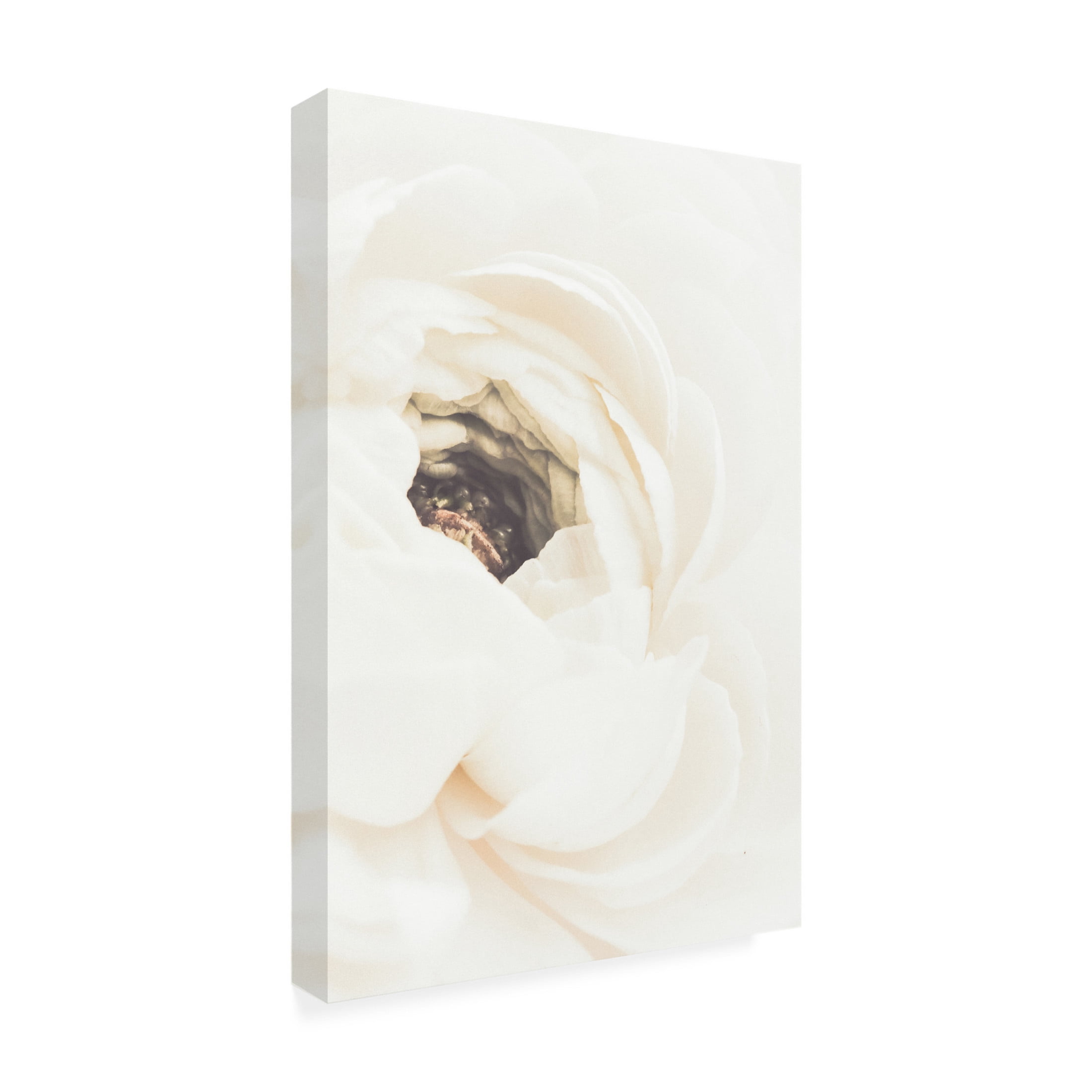 Pictufy Studio III 'White Flower 1' Canvas Art - 16 x 24 Inches