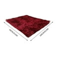 thumbnail image 4 of Tyidzon Rugs for Bedroom Fluffy Shaggy Soft Living Room Rug 24X63 Inch Indoor Modern Area Rug for Teen Dorm Room Home Decor, 4 of 4