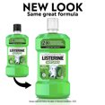 thumbnail image 2 of Listerine Smart Rinse, with Fluoride, Anticavity, Alcohol-Free, Kids Mouthwash500ml, 2 of 6
