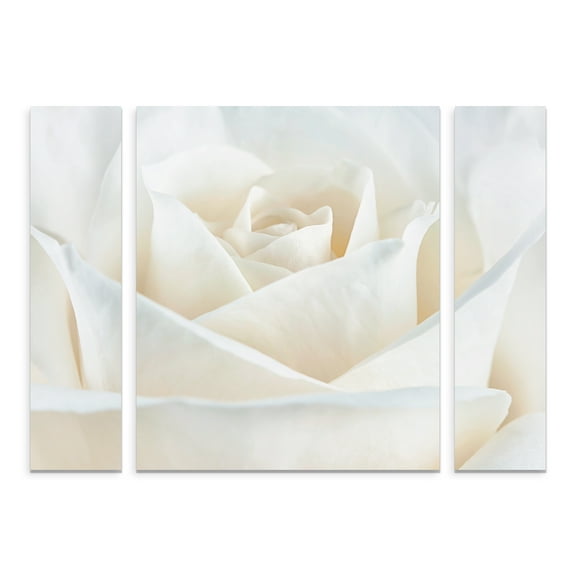 Trademark Fine Art 'Pure White Rose' Multi-Panel Canvas Art Set by Cora Niele