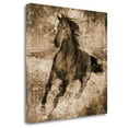 thumbnail image 2 of Tangletown Fine Art Running Free By Eric Yang,  Gallery Wrap Canvas 25 x 25, 2 of 2