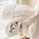 thumbnail image 5 of Ireezec Soft Washed Microfiber Duvet Inrt All asons Comforter Lightweight Bedding Queen Size Breathable Quilt for Adults Hotel Home Bedroom Enhanced Warmth Cooling Summer Spring Fall, 5 of 6
