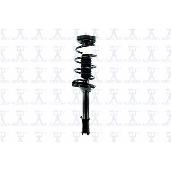 Suspension Strut and Coil Spring Assembly
