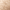Fair, variant on Laura Geller New York Baked Balance-N-Glow Powder Foundation, Illuminating Medium, 0.28 oz