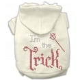 thumbnail image 2 of Im the Trick Rhinestone Hoodies, 2 of 2