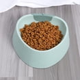 thumbnail image 3 of 2 Piezas de Cuenco para Perros Y , Bandeja de de Alimentación, Contenedor Antideslizante para de Mascota Yuyangstore Cuencos para gatos, 3 of 8