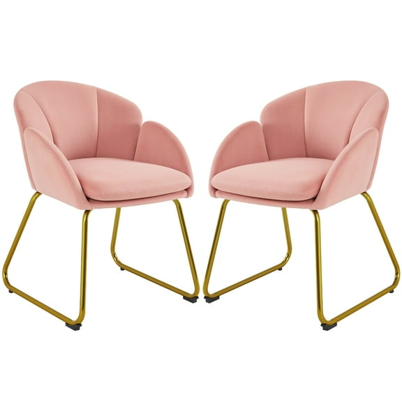 Alden Design 2 Pieces Velvet Armchair with Golden Metal Legs for Living Room/Bedroom/Kitchen, Pink