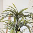 thumbnail image 3 of Artificial Tree Boston Fern, 3 of 4