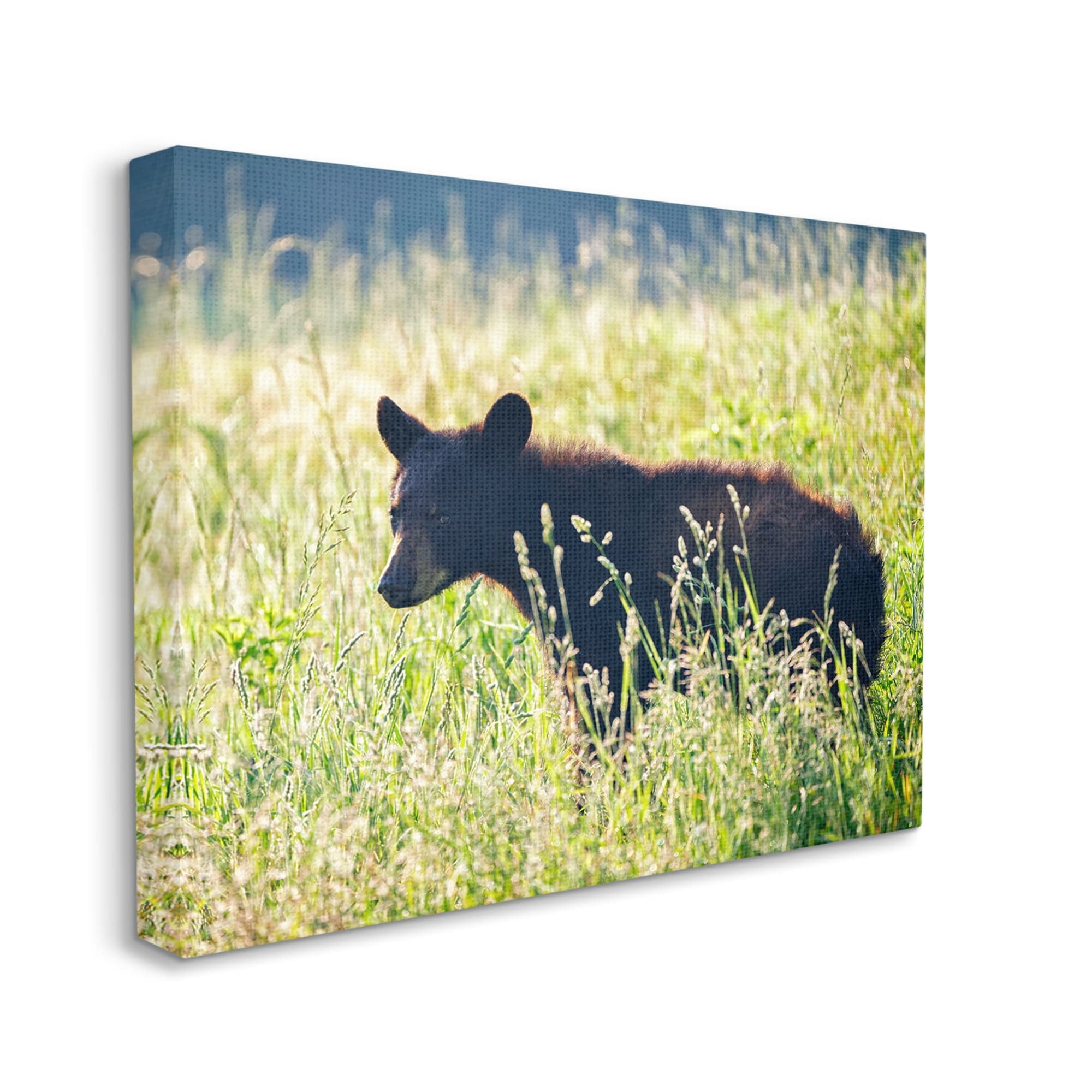 Stupell Baby Bear Tall Grassland Landscape Photography Gallery Wrapped Canvas Print Wall Art