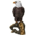 thumbnail image 3 of Ebros Gift American Eald Eagle Perching on Tree Branch Resin Figurine Statue, 3 of 5