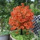 thumbnail image 3 of Árbol topiario artificial con flores violetas, arbustos artificiales para exteriores con estaca para decoración de jardín y porche., 3 of 8