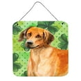 thumbnail image 1 of Rhodesian Ridgeback Impressions Murales Ou de Porte St Patricks, 1 of 1