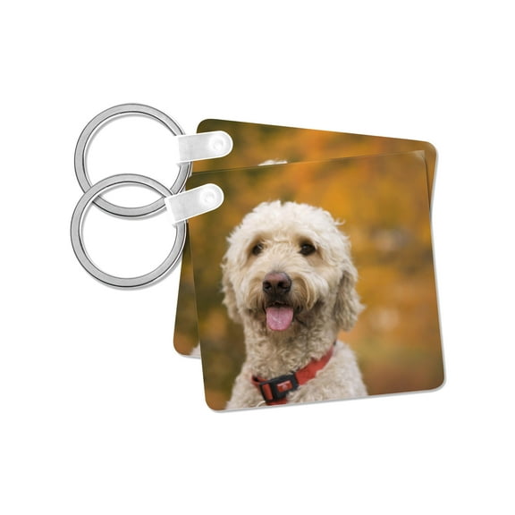 3dRose, Massachusetts, Reading, Labradoodle dog - US22 JEN0072 - Jim Engelbrecht, set of 2 Key Chains