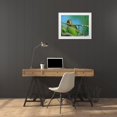 thumbnail image 3 of Fitzharris, Tim 32x26 White Modern Wood Framed Museum Art Print Titled - White-fronted Parrot II, 3 of 4