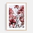 thumbnail image 2 of Yulan Magnolia - Visalia California Photography Floral Flowers Nature Botanical Cherry Blossom Garden Unframed Wall Art Print 16 x 24 inches, 2 of 60