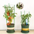 thumbnail image 3 of HLONK Plant Support 18 Inch Plastic Wrapped Tomato Cages for Climbing Plants 2 Pack, 3 of 9