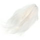 thumbnail image 1 of WORGEOUS Peluca Bobo para mujer, peluca corta y recta, peluca de pelo sintético, peluca Bobo de fibra de alta temperatura con redecilla para el pelo, 1 of 9
