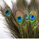 thumbnail image 3 of Plumas naturales de pavo real con ojo de gema, paquete de 50 piezas para decoración y manualidades, 3 of 6