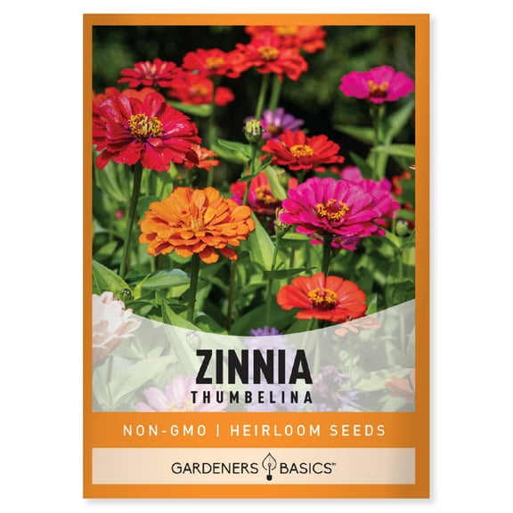 Zinnia Thumbelina Seeds