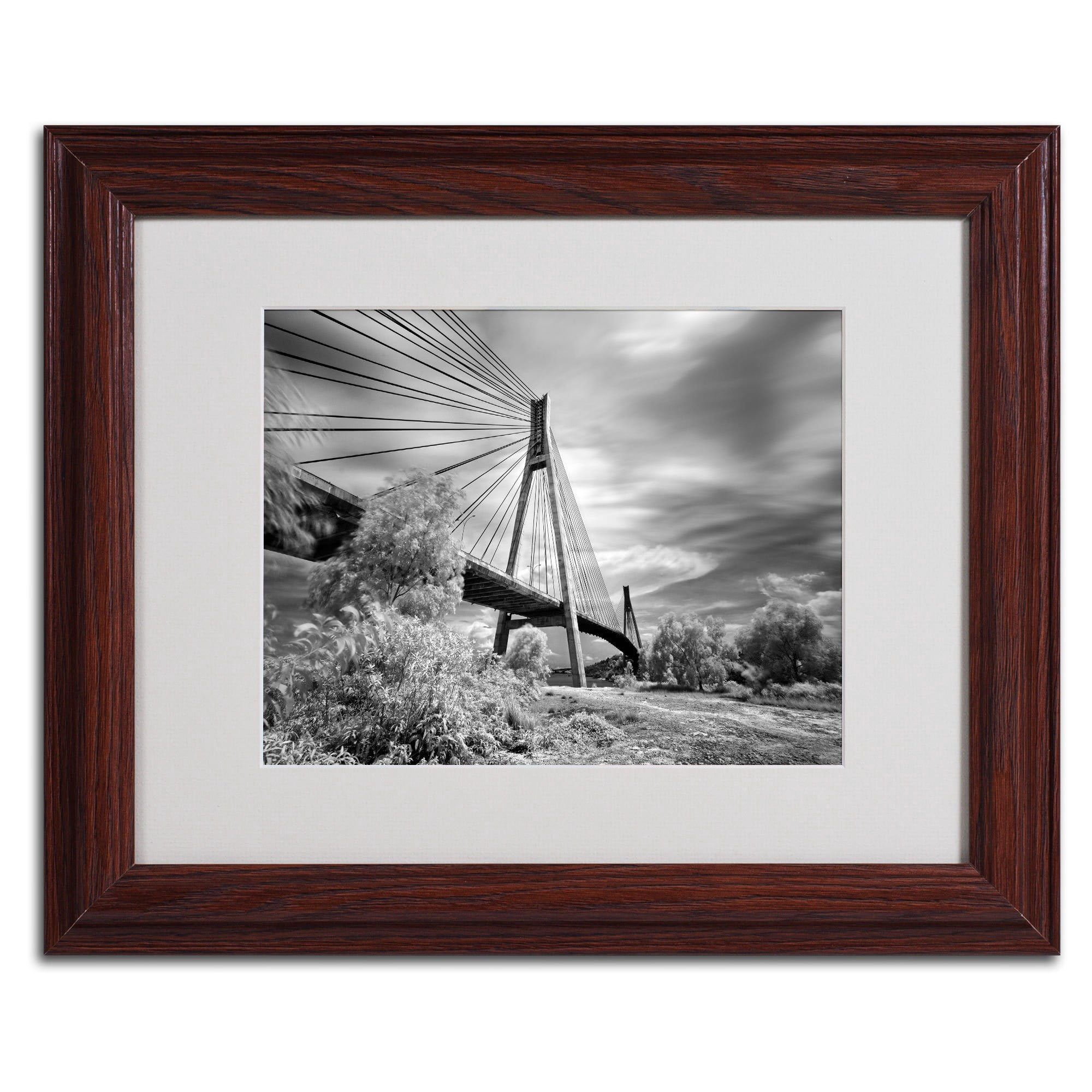 Trademark Fine Art "First Link" Framed Canvas Art by Michael de Guzman
