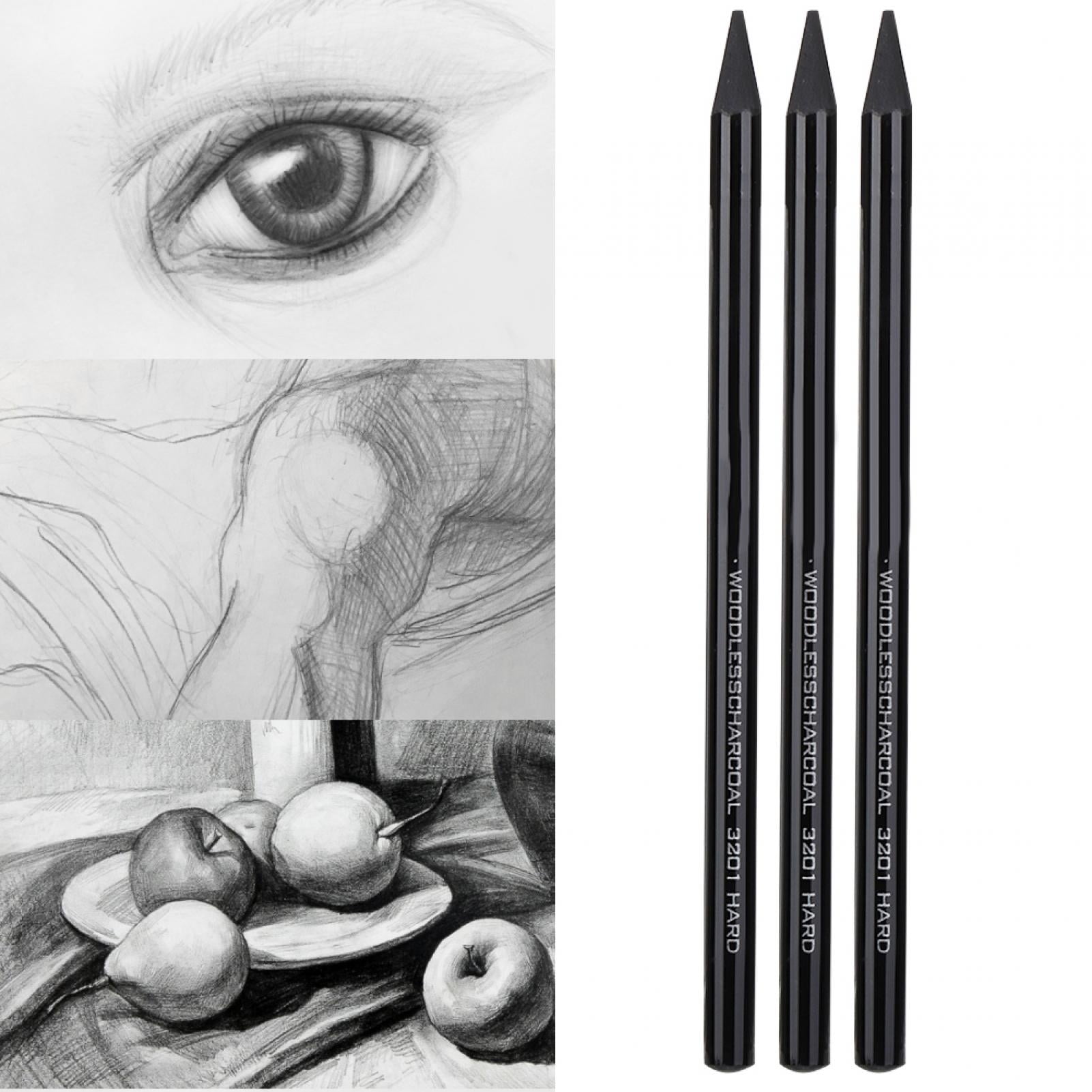 ThePortraitArt Artist Woodless Pure Charcoal Pencils - Ultra Soft and Dark  – 6pc Set Equivalent to 25+ Regular Pencils – Smooth Consistency on All