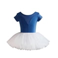 thumbnail image 1 of Justaucorps de Ballet pour Filles, Robe Tutu pour Filles avec Jupe Attachée, Tenue de Danse Sans Manches à Col Rond, Polyester Extensible Doux pour Pratique, Récitals, Usage Quotidien, 1 of 5