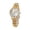 A -BW75, variant on Wrist Watch for Women Waterproof Small Thin Analog Bracelet Quartz Watch Dainty Christmas Gifts