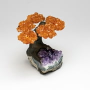 Small - Genuine Citrine Clustered Gemstone Tree on Amethyst Matrix (The Money Tree)