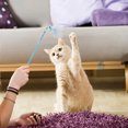 thumbnail image 2 of BESTSKY 3Pcs Kitten Toys,Flexible Rod Design Interactive Cat Toys,Fun Play Interaction Cat Enrichment Toys for Indoor Cats,Style2, 2 of 5