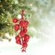 thumbnail image 3 of Adornos Navideños con Bayas, Ramas Artificiales y Adornos Navideños., 3 of 4