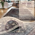 thumbnail image 4 of L'Baiet Irene Multi-Color Distressed Washable 4 ft. x 6 ft. Fabric Area Rug, 4 of 6