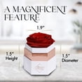 thumbnail image 5 of GLAMOUR BOUTIQUE Hexagon Single Forever Red Rose Box - Preserved Roses in a Box, Immortal Roses in a Box That Last A Year - Eternal Rose Preserved Flowers for Delivery Prime Mothers & Valentines Day, 5 of 8