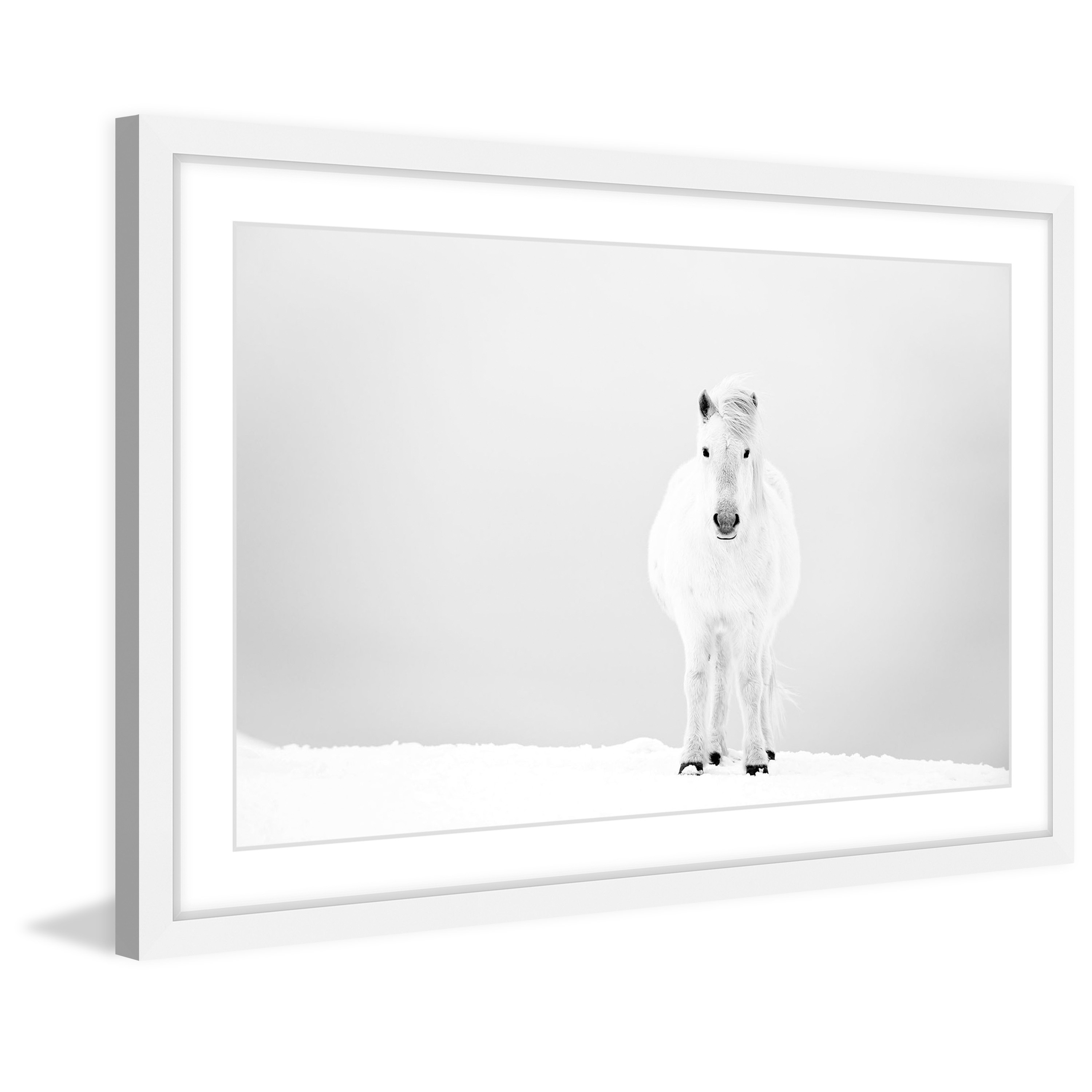 Marmont Hill "Snowy White Horse" Framed Painting Print