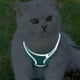 thumbnail image 3 of Juego de arnés y correa para cachorros y gatos, arnés Escape Cat, chaleco de malla suave reflectante ajustable para cachorros, gatitos, conejos y hurones, arnés para exteriores (cian), 3 of 5