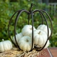 thumbnail image 3 of Flora Bunda 8 PCS Fake Artificial Sugared Beaded Mini Pumpkin Decorative Bowl Vase Filler for Fall Harvest Thanksgiving Halloween Holiday Parties DIY Craft Decorations, Cream White, 3 of 3