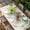 Beige Green, variant on Green Leaves Table Cloths for 6 Foot Rectangle Tables, Summer Botanical Patio Waterproof Elastic Fitted Tablecloths, Washable Rectangular Table Cover for Camping