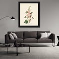 thumbnail image 3 of John James Audubon 20x24 Black Modern Wood Framed Wall Art Titled - Pl 425 Columbian Hummingbird, 3 of 6