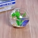 thumbnail image 2 of Jarrón hidropónico florero, paisaje Micro DIY, florero de mesa, contenedor terrario jardinera, maceta hidropónica plantas aéreas, florero de cristal claro, maceta de flores, pecera, 2 of 9