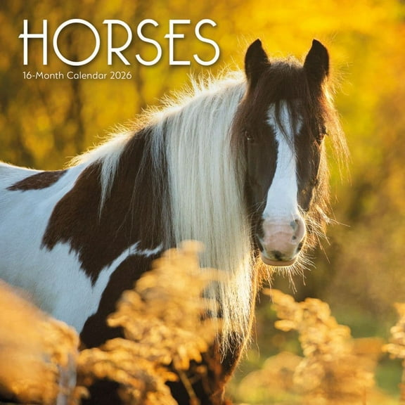 Carousel Calendars, Horses 2026 Wall Calendar