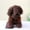 Brown, variant on Ke1Clo Simulation Poodle Dog Toy under $5! Small Stuffed Animal Keychain Ring Pendant for Christmas Gift Party Favor Decoration for Kids Girls