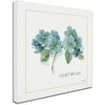thumbnail image 2 of Trademark Fine Art Lisa Audit My Greenhouse Forget Me Not Canvas Wall Art - 14x14, 2 of 3