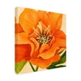 thumbnail image 2 of Annie Warren 'Copper Petals II' Canvas Art, 2 of 3